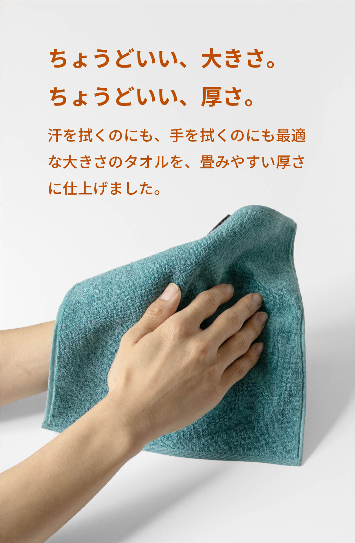 抗菌・防臭加工】 ミニタオルハンカチ 約20×20cm・同色12枚セット